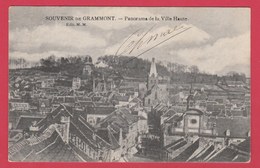 Geraardsbergen / Grammont ( Souvenir De ... ) - Panorama De La Ville Haute -190? ( Verso Zien ) - Geraardsbergen