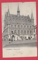 Geraardsbergen - Stadhuis ( Verso Zien ) - Geraardsbergen
