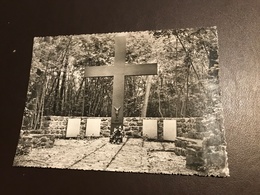 Ooigem A/Leie ( Wielsbeke ) - Monument Der Gesneuvelden - Uitg. M. Hellyn-Vanaverbeke - Wielsbeke