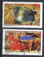 Nouvelle Calédonie - Neukaledonien - New Caledonia 1988 Y&T N°551 à 552 - Michel N°821 à 822 (o) - Aquarium De Nouméa - Gebraucht