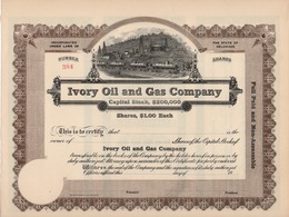 Titre De Bourse Made In USA - IVORY OIL AND GAS COMPANY - NOT USED. - Oil