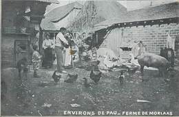 CPA 64 Pyrénées-Atlantiques Ferme De Morlaas - Environs De PAU - Morlaas