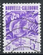 Nouvelle Calédonie - Neukaledonien - New Caledonia 1990 Y&T N°606 - Michel N°896 (o) - 5f Cagou - Oblitérés