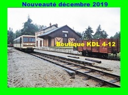 AL 623 - Autorail CFD En Gare - PRUNIERS EN SOLOGNE - Loir Et Cher - BA - Other Municipalities