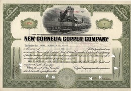 Titre De Bourse Made In USA - NEW CORNELIA COPPER COMPANY - 1924. - Mines