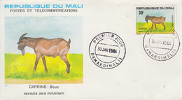 Enveloppe  FDC   1er  Jour    MALI     Caprins : Bouc   1984 - Ferme