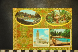 CP, ALGERIE, SAIDA, Editions RE AR Tlemcem -  Souvenir De Saïda - Saida