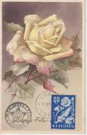 Bulgarie Carte Maximum 1951 Rose 684 - Briefe U. Dokumente