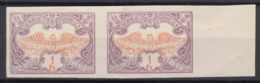 Belgium Railway 1902 Mi#39 Imperforated Pair, Mint Hinged - Andere & Zonder Classificatie