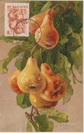 Bulgarie Carte Maximum Fruits 1956 Poires 853A - Brieven En Documenten