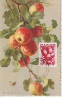 Bulgarie Carte Maximum Fruits 1956 Pommes 855 - Brieven En Documenten