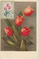 Bulgarie Carte Maximum Fleurs 1960 Tulipes 1019 - Lettres & Documents