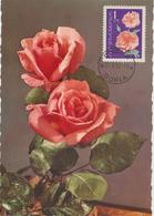 Bulgarie Carte Maximum Fleurs 1962 Rose 1126 - Briefe U. Dokumente