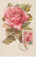 Bulgarie Carte Maximum Fleurs 1962 Rose 1127 - Briefe U. Dokumente
