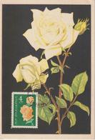 Bulgarie Carte Maximum Fleurs 1962 Rose 1129 - Covers & Documents