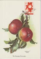 Bulgarie Carte Maximum Fruits 1965 Pommes 1364 - Covers & Documents