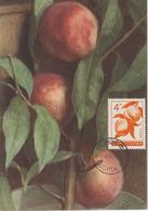 Bulgarie Carte Maximum Fruits 1965 Abricots 1367 - Storia Postale