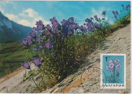 Bulgarie Carte Maximum Fleurs 1968 Campanule 1583 - Storia Postale