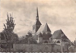 77 - PROVINS : L'Eglise SAINTE CROIX - CPSM Dentelée Noir Blanc Grand Format écrite 1951 - Seine Et Marne - Provins