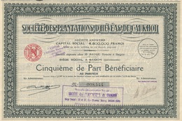 Indochine - Sté Des Plantations D'hévéas De Caukhoi - Cinquième De Part Bénéficiaire / 1926 - Asie