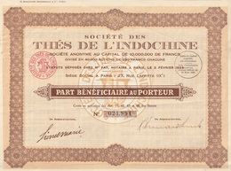 Indochine - Sté Des Thés De L'Indochine - Part Bénéficiaire / 1924 - Asia