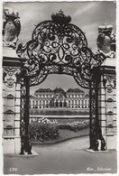 Wien - Belvedere - (1960) - Belvedere