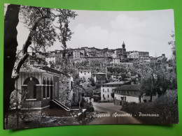 Delcampe - Cartolina - Seggiano ( Grosseto ) - Panorama - 1965 - Grosseto