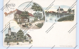 0-6712 TRIPTIS - DREITZSCH, Lithographie, Gasthof, Kirche, Kammergut - Triptis