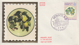 Enveloppe  FDC  1er  Jour   MONACO    EUROPA     1976 - 1976