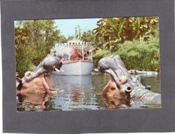 90336    Stati  Uniti,  Jungle Cruise,  Disneyland"s  Adventureland,  NV(scritta) - Anaheim