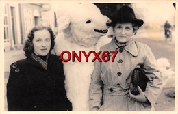 Carte Postale Photo Montreur OURS Blanc Déguisé Avec 2 Jeunes Femmes   Foto Agfa 2 SCANS - Fotografie