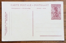 CONGO BELGA CARTOLINA  POSTALE  30 C.  NUOVA - Unused Stamps