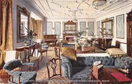 PIE-Z SDV-19-5541 :  NEWCASTEL ON TYNE. CENTRAL STATION HOTEL DRAWING ROOM. - Newcastle-upon-Tyne