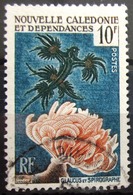 NOUVELLE CALEDONIE                     N° 293                        OBLITERE - Usati