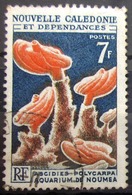 NOUVELLE CALEDONIE                     N° 322                        OBLITERE - Oblitérés