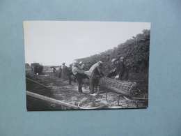 AFLSUITDIJK  -  DEN OVER  -  Maken Van Extra Dikke Wiepen  ......  Photo  -  Foto  Gemeente WIERINGEN - Den Oever (& Afsluitdijk)