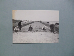 AFLSUITDIJK  -  DEN OVER  -  Aanleg Van De Klinkerbestrating ........  Photo  -  Foto  Gemeente WIERINGEN - Den Oever (& Afsluitdijk)