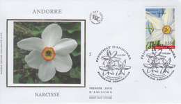 Enveloppe  FDC   1er  Jour    ANDORRE    Fleur  :  Narcisse   2008 - FDC