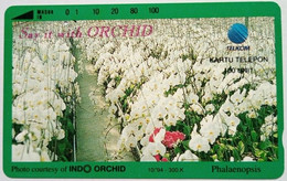 Indonesia 100 Units " Say It With Orchid  - Phalaenopsis " - Indonesia