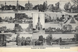 Souvenir Du Vésinet (Seine-et-Oise) Edition Nardot - Carte Multivues Non Circulée - Souvenir De...