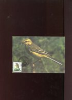 Belgie Andre Buzin Birds 2725 Tilff Herdenkingskaart - 1991-2000