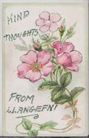 Kind Thoughts From LLANGEFNI Anglesey Novelty Wales Old Postcard - Anglesey