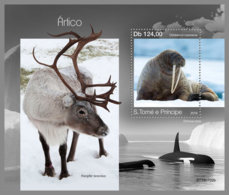 SAO TOME 2019 MNH Arctic Animals Tiere Am Nordpol Animaux D La Arctique S/S - OFFICIAL ISSUE - DH1951 - Fauna Artica