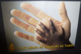 Carte Postale - Touche Pas à Mon Pote (SOS Racisme) Je Suis Solidaire Des Victimes Des Lois Pasqua - Sin Clasificación