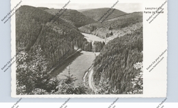 5928 BAD LAASPHE, Partie Im Ilsetal, 1955 - Bad Laasphe