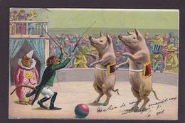 CPA Cochon Pig Position Humaine Humanisé Non Circulé Singe Monkey Cirque Circus - Cerdos