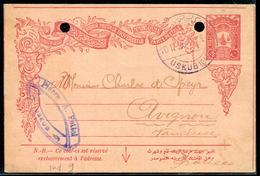 TURQUIE - ENTIER POSTAL TYPE N° 108 ,  OBL. USKUB LE  10/12/1905 POUR LA FRANCE - B - Brieven En Documenten