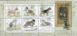 ARGENTINE - Chiens - Collections, Lots & Series