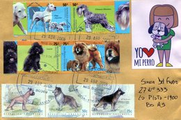 "YO AMO MI PERRO". PERROS. DOGS. ARGENTINA SOBRE CIRCULADO 2008. ENVELOPPE CIRCULEE - NTVG. - Dogs