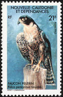 Nouvelle Calédonie; New Caledonia.1987. Faucon Pèlerin - Águilas & Aves De Presa